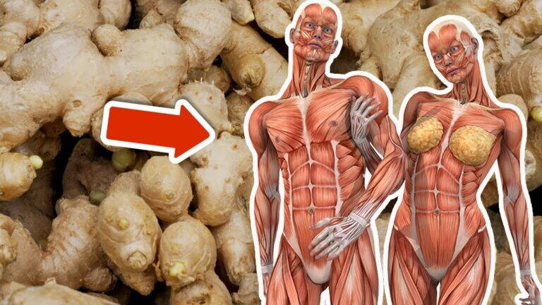 9 niesamowitych powodów, dla których warto jeść imbir każdego dnia!